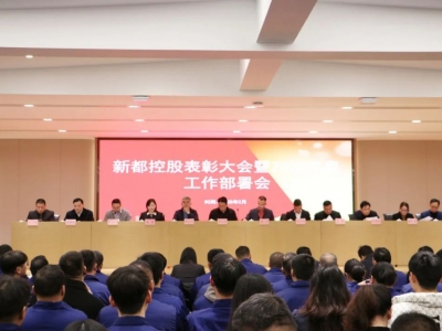 新都控股順利召開(kāi)表彰大會(huì)暨2025年度工作部署會(huì)